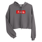 "W. Sup. Chase That bag" Storm Grey (Red logo) Crop Hoodie
